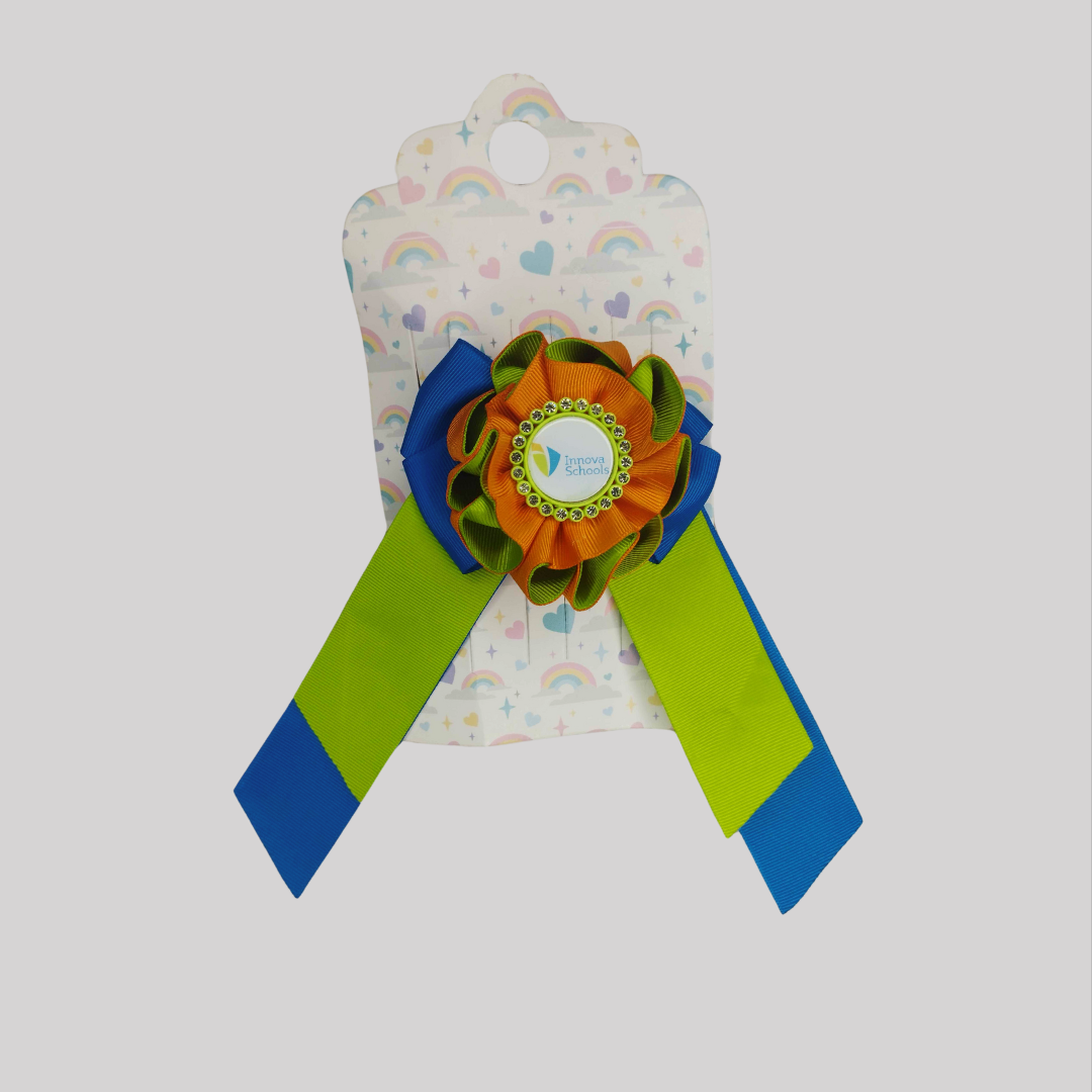 Coleta Innova Schools